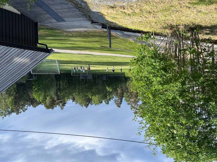 En gruppe mennesker som leker i en park