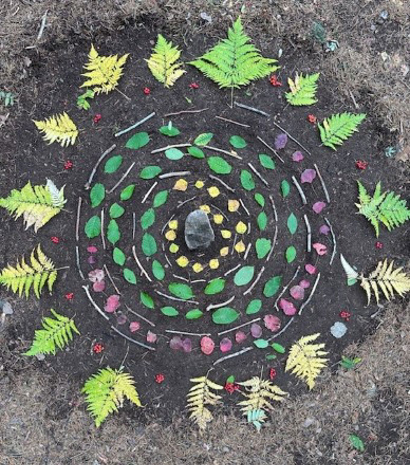 Blader som er plassert symmetrisk på bakken