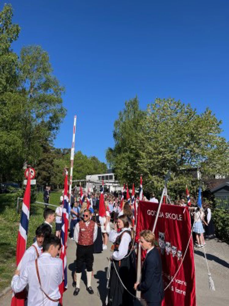 En gruppe mennesker som holder flagg
