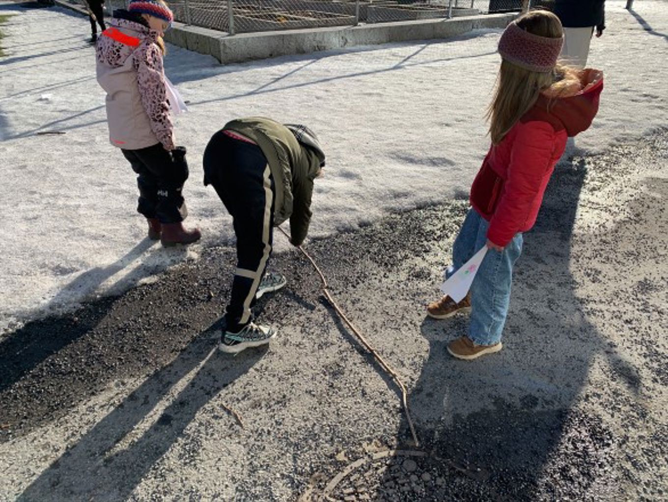 Utematte i sola Utematte i sola